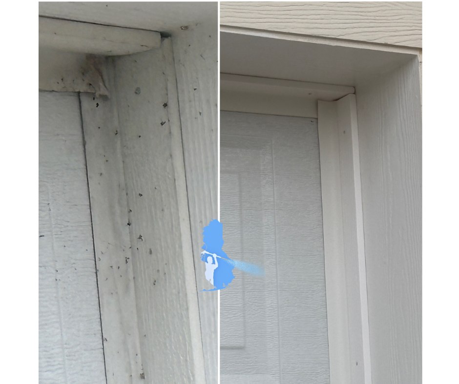 Top-Rated House Washing and Concrete Cleaning in Gulf Shores, AL
